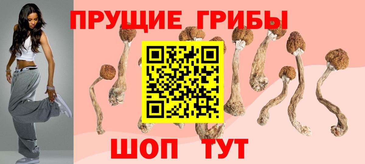 Галлюциногенные грибы Cubensis Севастополь